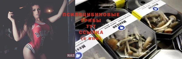 МДПВ Алексеевка