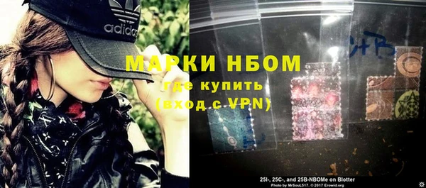 метадон Алексин