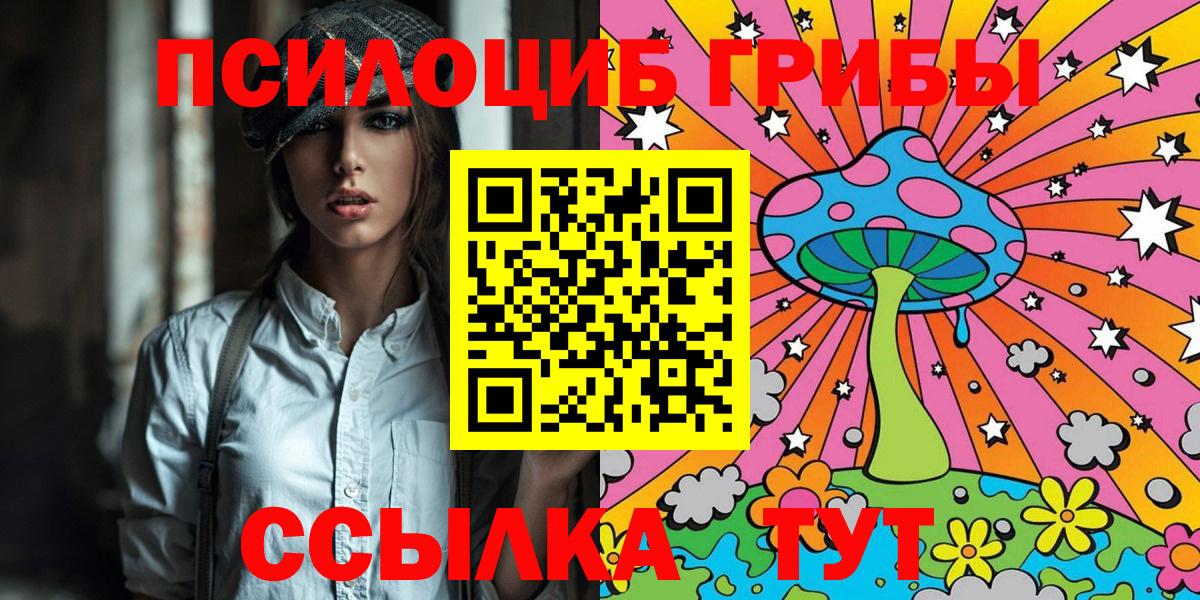 Ахтубинск  Псилоцибиновые грибы Magic Shrooms  дарнет шоп  Вход с VPN 